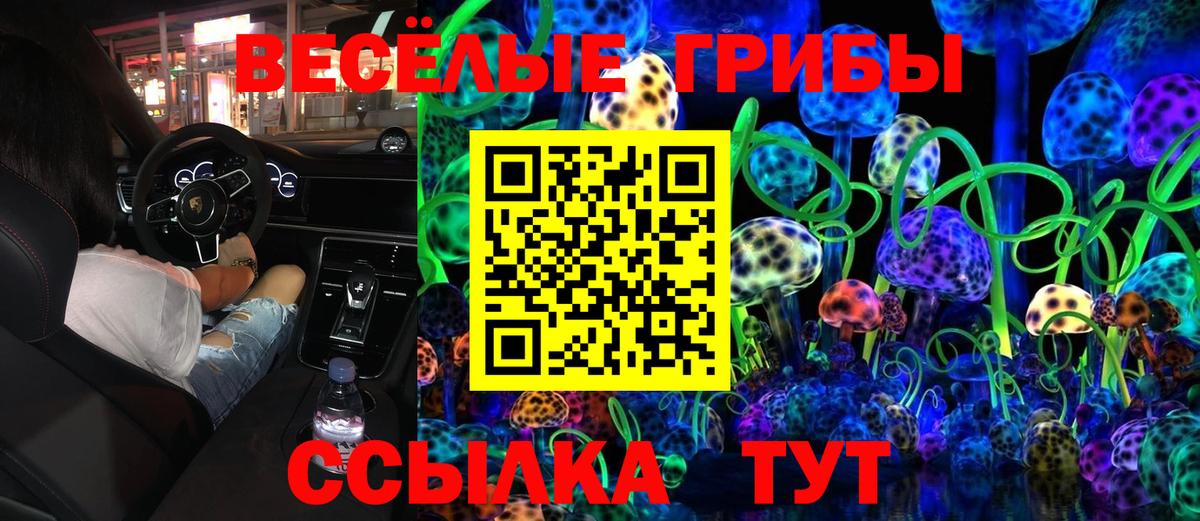 Галлюциногенные грибы Psilocybe Белебей