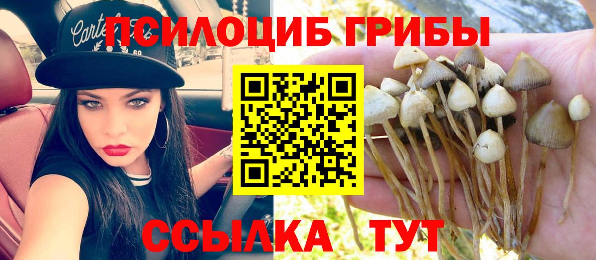 Белебей  Псилоцибиновые грибы Psilocybine cubensis  Галлюциногенные грибы прущие грибы  Вход с VPN 